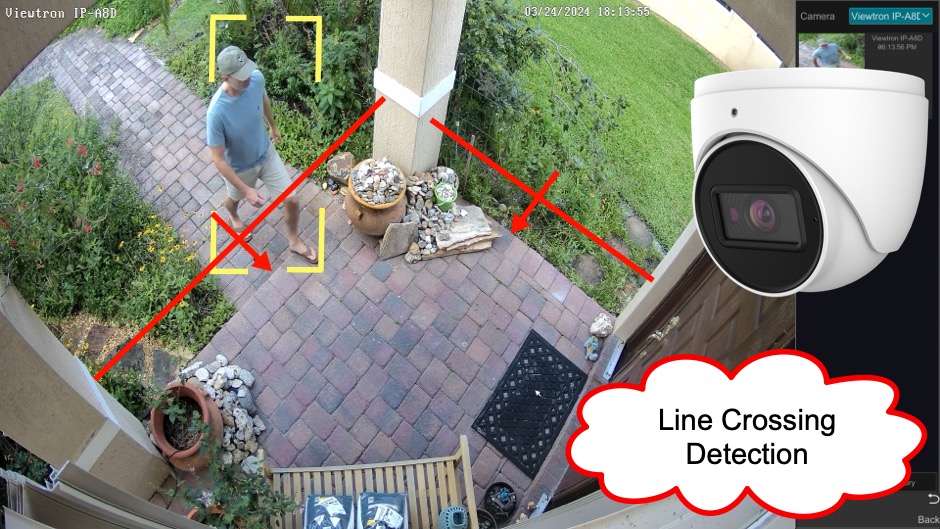 Line Crossing Detection AI Camera